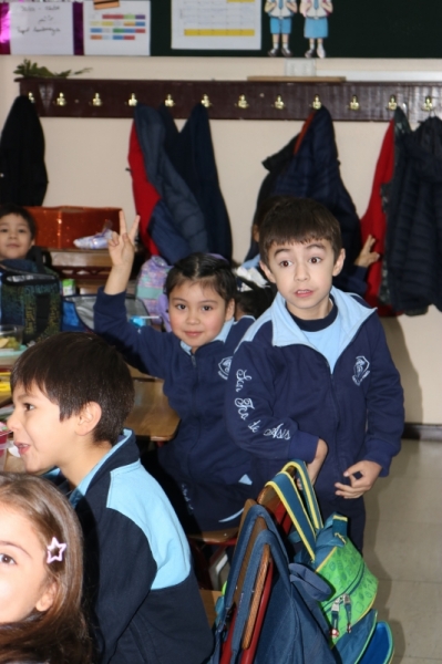 Día de la Actividad Física